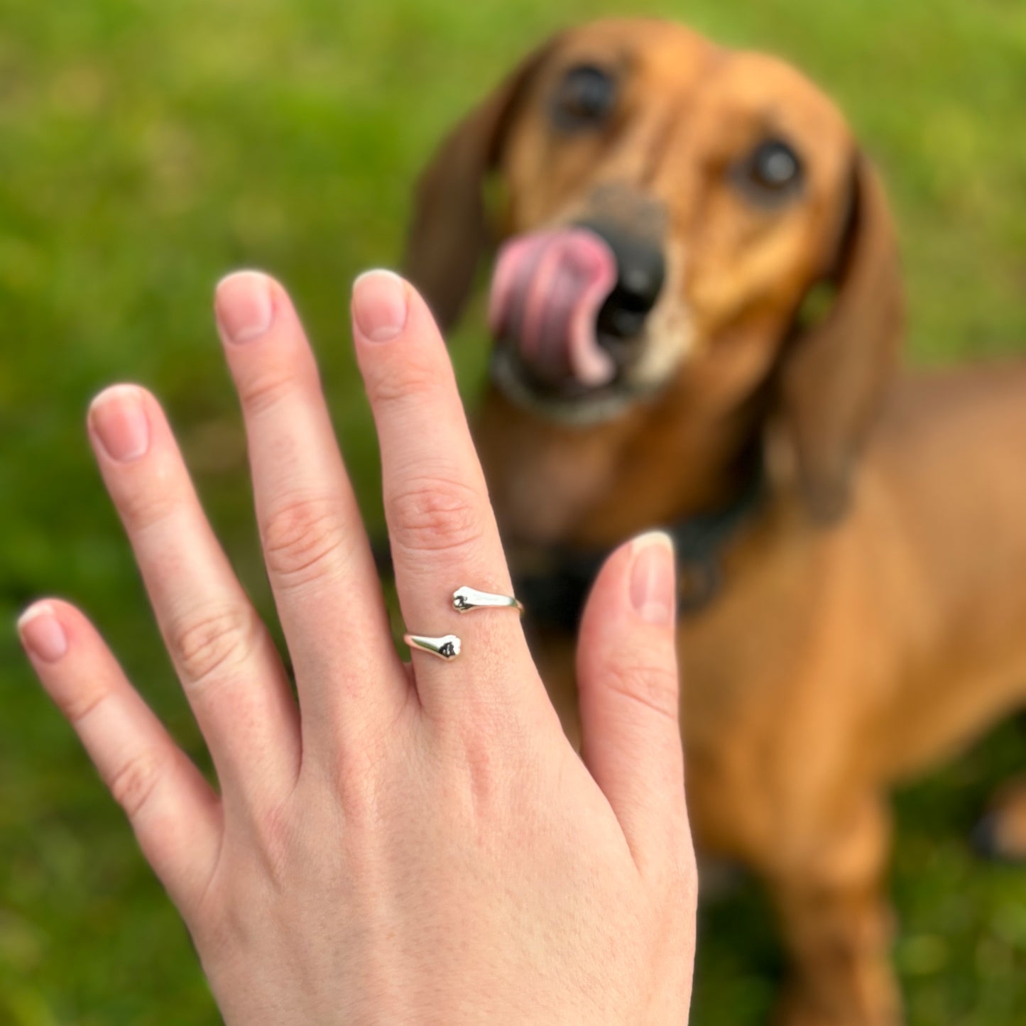 Paw Hug Ring